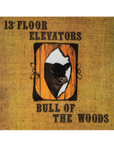 13Th Floor Elevators - Bull Of The...