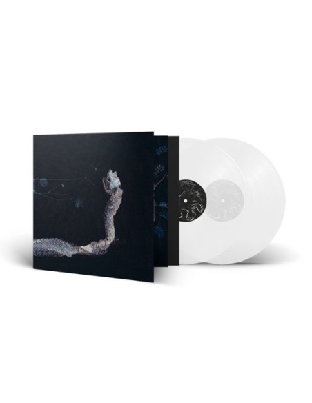 Tenhi - Maaaet (Clear Vinyl)