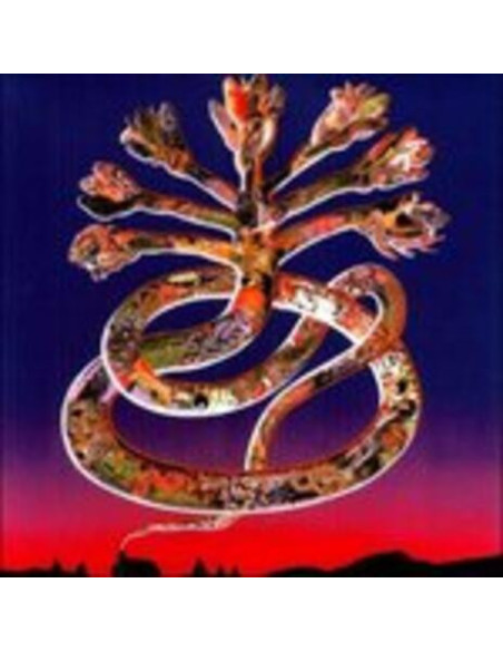 Cyclobe - Wounded Galaxies Tap Atthe Window - (CD)