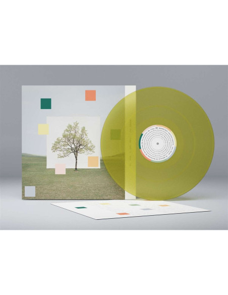 Washed Out - Notes From A Quiet Life - Loser Edition