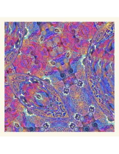 Nino, Carlos and Frien - Placenta - Placental Purple Vinyl