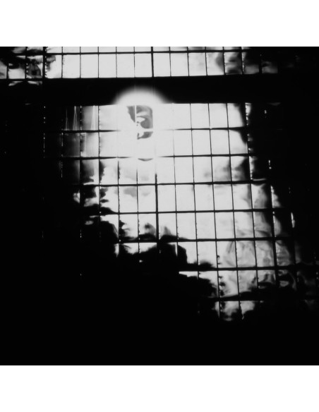 Niblock Phill, Clementi Anna, Stern Mike - Zound Delta 2