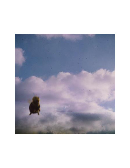 Pond - Stung! - (CD)