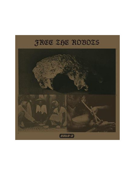 Free The Robots - Free The Robots-Datu 2 Lp