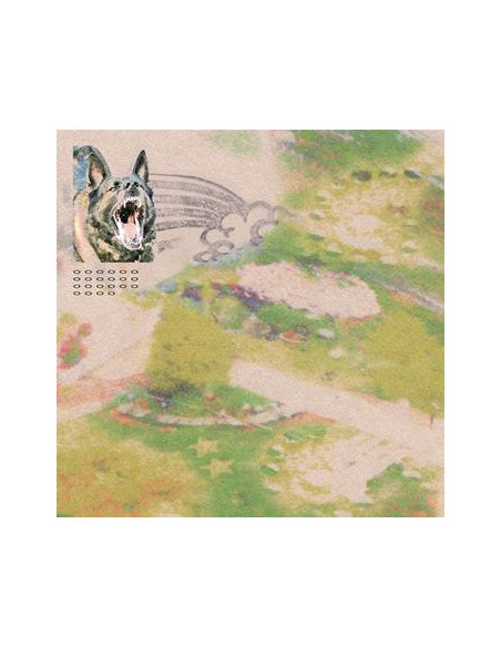 Feeble Little Horse - Girl With Fish - Coloured Vinyl