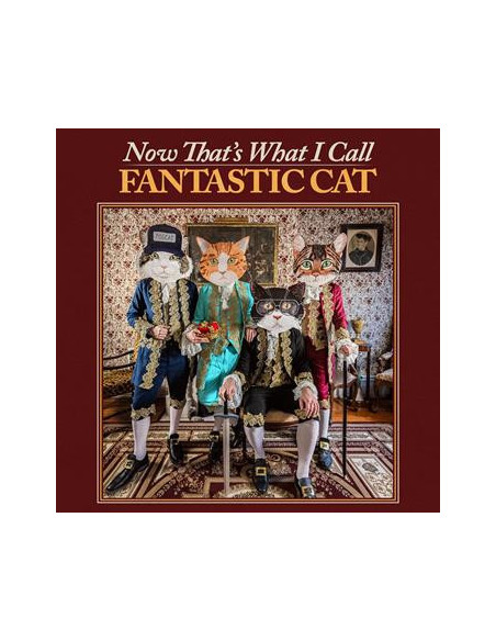 Fantastic Cat - Now That'S What I Call Fantastic Cat - (CD)