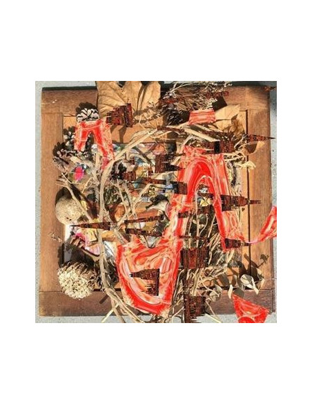 Merzbow - Tsubute Mosaic