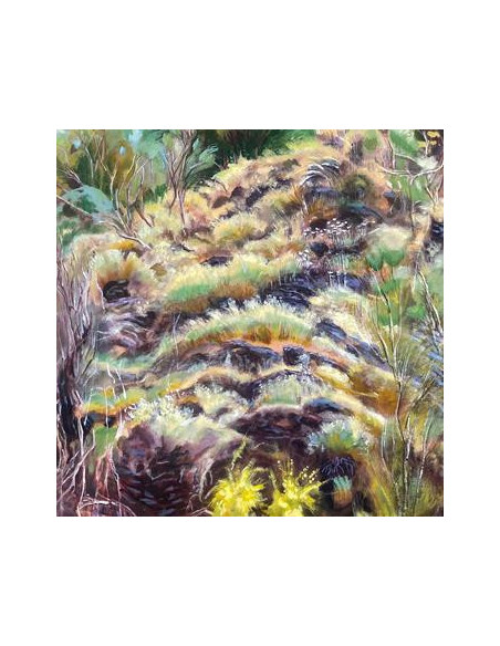 Swim Surreal - In The Half Light - (CD)