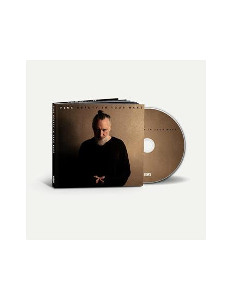 Fink - Beauty In Your Wake (Deluxe Edition) - (CD)