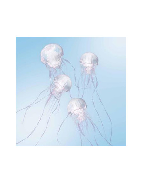 Scandal - Luminous - (CD)