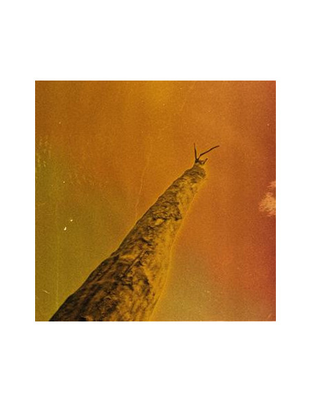 Oberland/Dargent/Eli - Sihr - (CD)