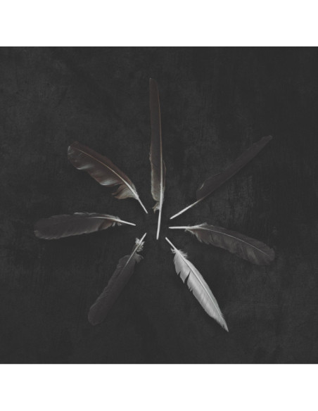 Caspian - Dust And Disquiet -Emerald Green and White