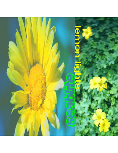 Seablite - Lemon Lights