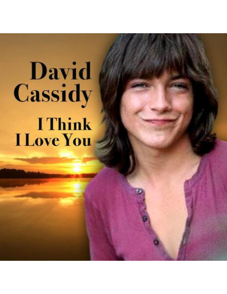 Cassidy David - I Think I Love You