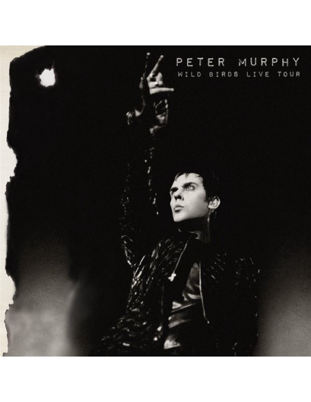 Murphy Peter - Wild Birds Live Tour (Purple and Black)