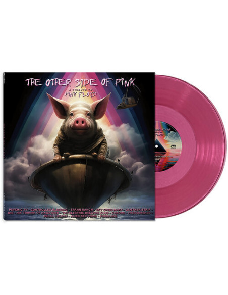 Other Side Of Pink Floyd/ Various - Other Side Of Pink Floyd / Various
