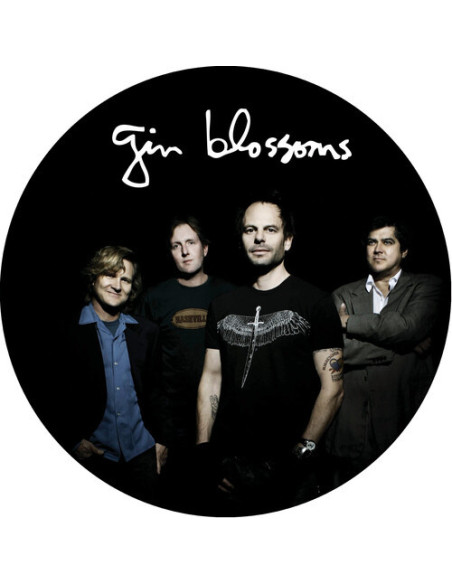 Gin Blossoms - Live In Concert