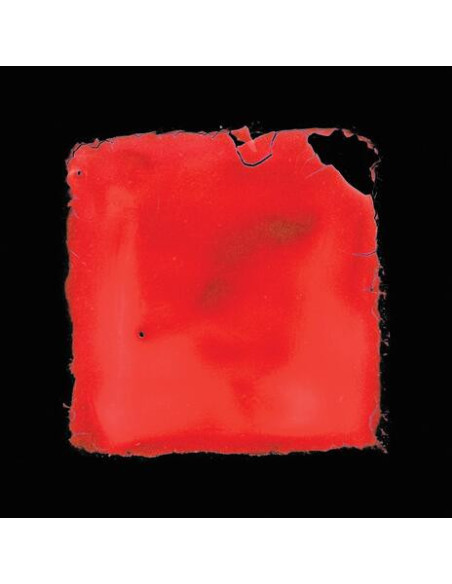Salvia Palth - Last Chance To See - (CD)