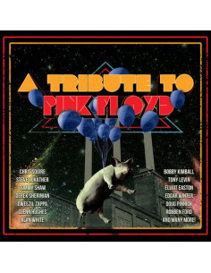Tribute To Pink Floyd/ Various - Tribute To Pink Floyd / Various - (CD)