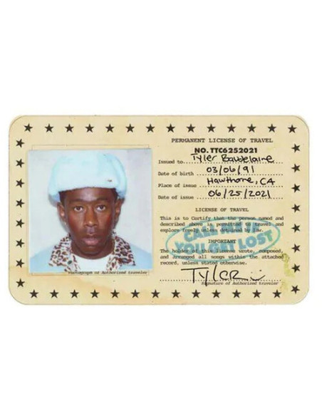 Tyler, The Creator - Call Me If You Get Lost - (CD)