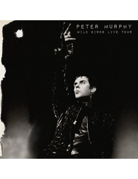 Murphy Peter - Wild Birds Live Tour - (CD)