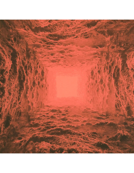 Haunted Plasma - I - (CD)