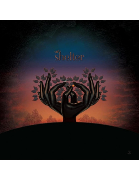 Laughing Stock - Shelter - (CD)
