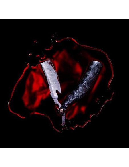 Black Veil Brides - Bleeders