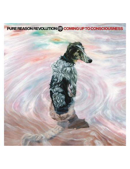 Pure Reason Revoluti - Coming Up To Consciousness - (CD)