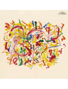 Ty Segall - Love Rudiments