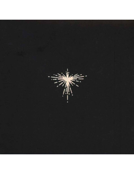 Karen O and Danger Mou - Lux Prima