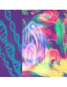 Nap Eyes - Neon Gate