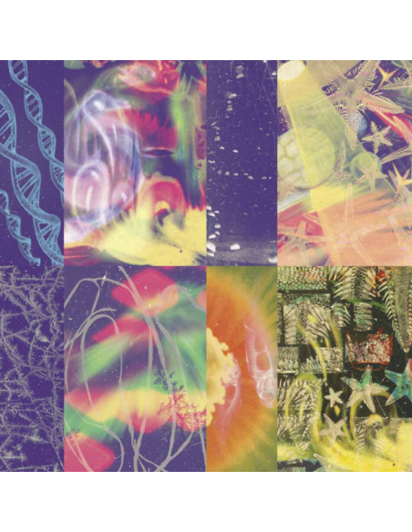Nap Eyes - Neon Gate - (CD)