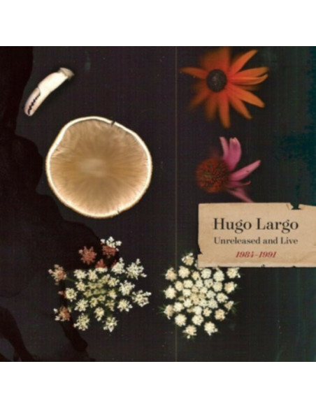 Hugo Largo - Huge, Large And Electric: Hugo Largo 1984-1991