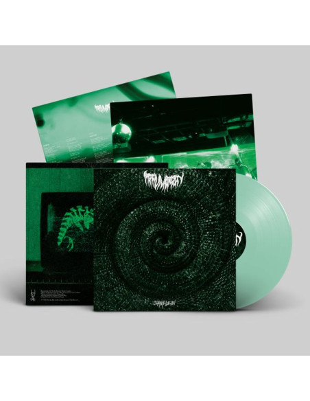 Trauma Ray - Chameleon sp