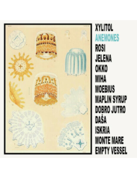 Xylitol - Anemones