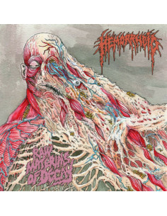 Hemorrhoid - Raw Materials Of Decay - (CD)
