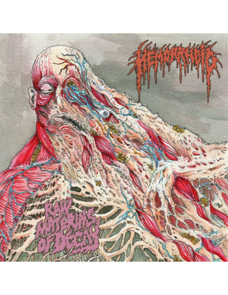Hemorrhoid - Raw Materials Of Decay - (CD)