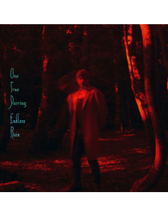 One True Pairing - Endless Rain - (CD)