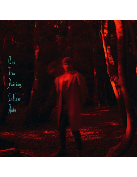One True Pairing - Endless Rain - (CD)