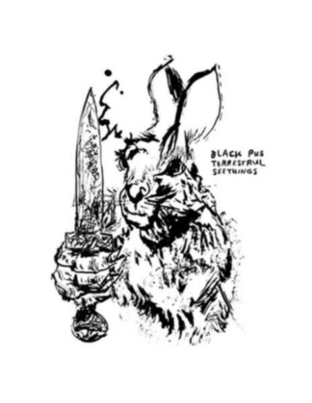 Black Pus - Terrestrial Seethings - (CD)