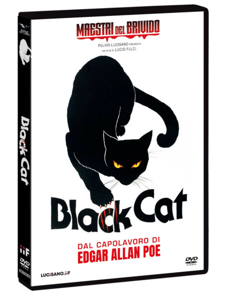 Black Cat