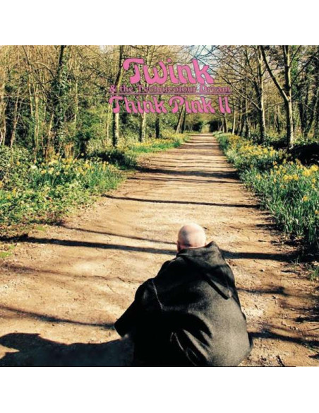 Dream Twink and The Technicolour - Think Pink 2 - (CD)