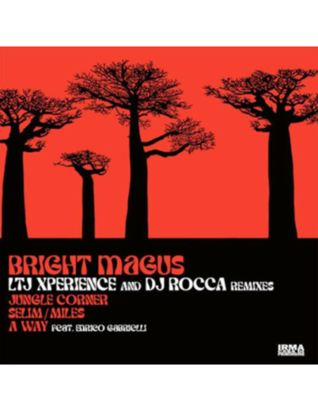 Bright Magus( Ltj Xperience and Dj Rocca Rmx) - Jungle Corner, Selim Miles - A Way (12p)