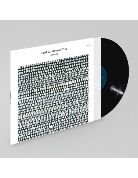 Gustavsen Tord Trio - Seeing