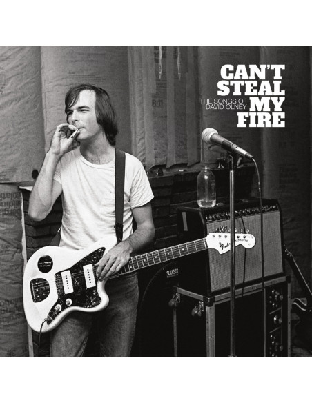 Compilation - Can'T Steal My Fire: The Songs Of David