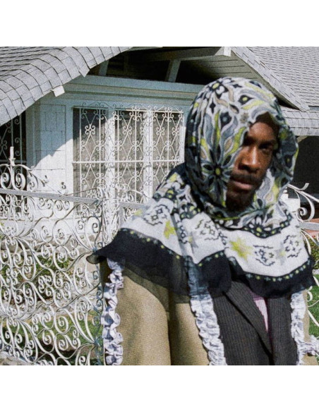 Jpegmafia - All My Heroes Are Cornballs