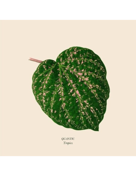 Quantic - Tropics (Mix Peach Marble)