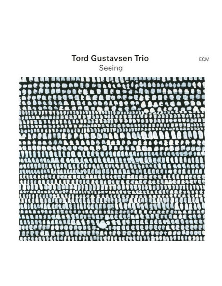 Tord Gustavsen Trio - Seeing - (CD)