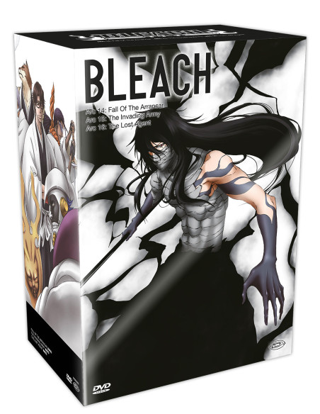 Bleach Box 4 (Arc 14-16) (16 Dvd)